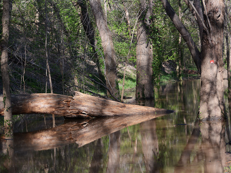 Flooded_Trail.jpg