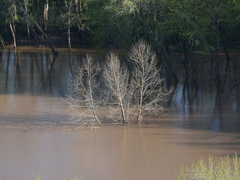 Flooded_Meramec.jpg