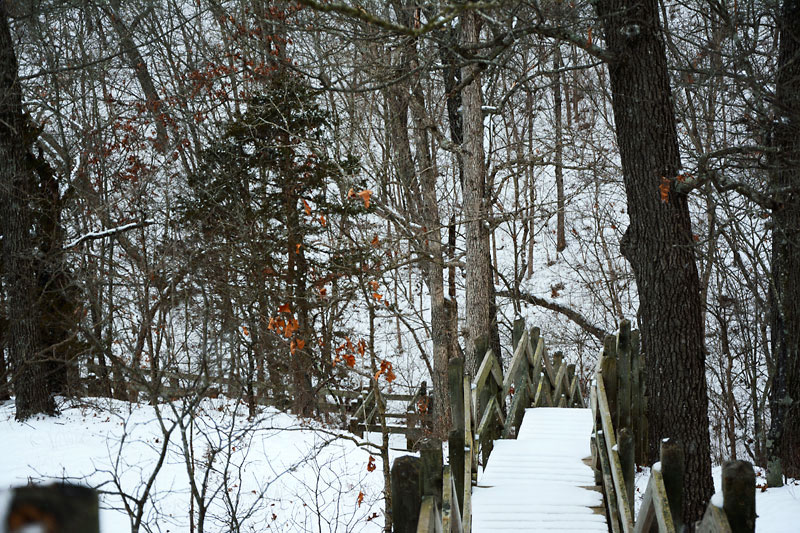 Snowy_Stairs_2725.jpg